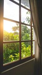Sunlit window view of lush greenery