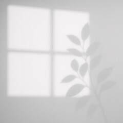 Minimalist Shadow Overlay of Window and Leaves on Wall for Interior Design and Aesthetic Backgrounds