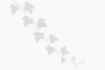 Soft Leaf Shadow Overlay Effect on White Textured Background