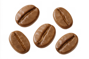 Roasted coffee beans dropping freely, showcasing rich brown tones against clean transparent surface