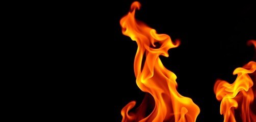 Intense orange and yellow flames dance against a stark black backdrop,  graphic,  nature