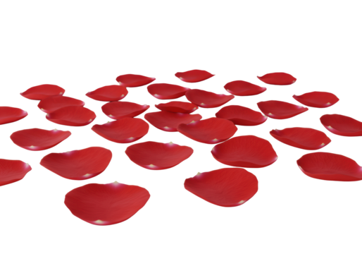 Vibrant red rose petals with natural contours and rich crimson hue, scattered on a pristine transparent surface, illuminated by flat diffused studio lighting with no shadows, ultra-realistic sharp