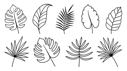 Tropical leaves line art bundle, Outline botanical vector icons including monstera, palm, banana, fern, palm fan silhouettes