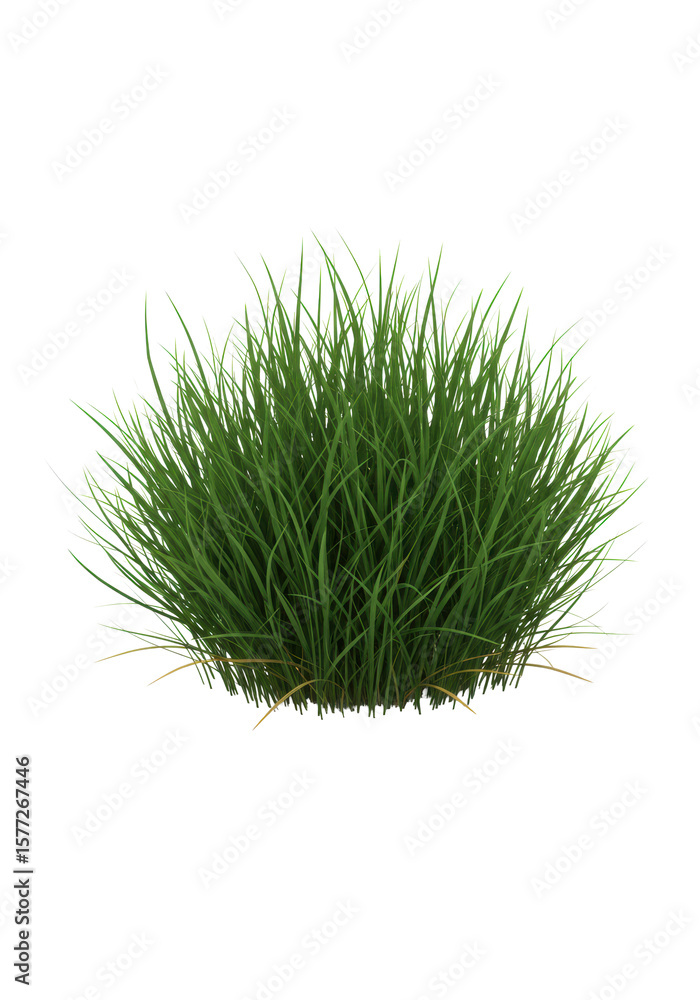 Poster lush, vibrant emerald green grass clump with subtle dry ochre blades, detailed textures in sharp mac