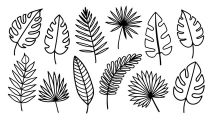 Tropical leaves line art bundle, Outline botanical vector icons including monstera, palm, banana, fern, palm fan silhouettes