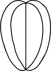 starfruit outline png