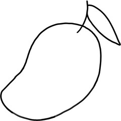 mango outline png