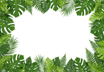 Vibrant green border of glossy Monstera, palm, and fern leaves frames a clean white background in a flat lay studio shot, illuminated by shadowless light. Concept of tropical freshness and copy space