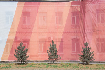 three small pine trees planted near an old building hung with translucent decorative fabric