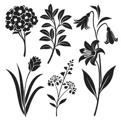 
a collection of black flowers