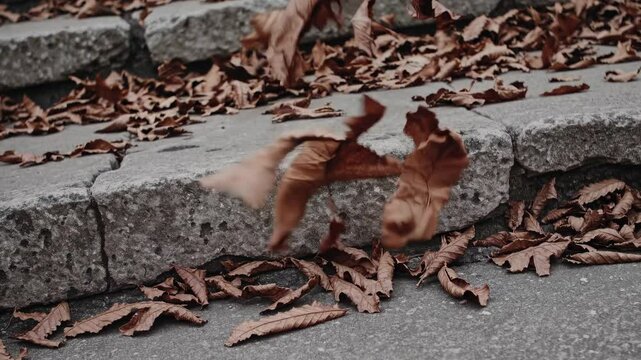 Dried leaves skittering over stone steps in autumn