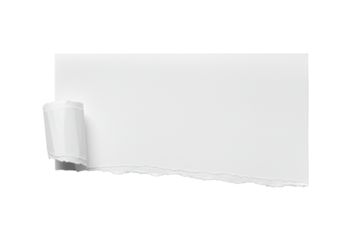 Pristine matte white paper with jagged tear and fibrous texture on a seamless bright white background, ample copy space, no shadows, sharp focus, studio lighting, slightly high shot, concept of