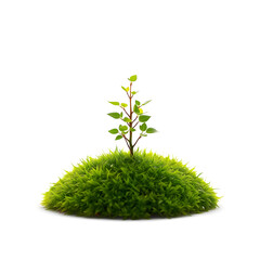 Fototapeta premium Green Grass Dome PNG – 3D Rounded Bush Shape with Realistic Texture