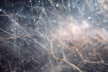 create captivating background for website homepage featuring super thin lines that evoke cosmic theme