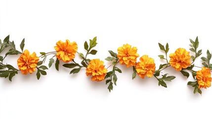 Orange marigold flowers arranged in a horizontal line on a white background with leaves and stems.