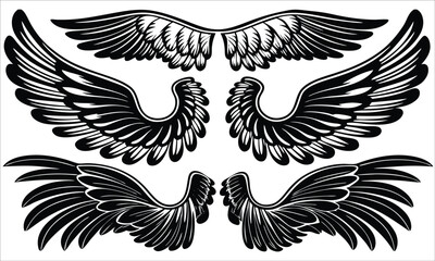 Obraz premium Black feathered wings collection feathers white