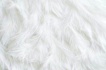 Fototapeta premium Soft white feather texture creating a serene atmosphere