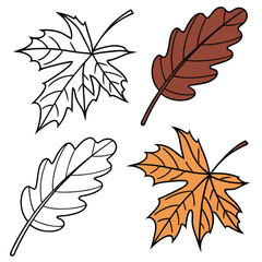 Four distinct autumn leaves are showcased two line drawings and two are filled in