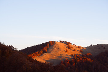 Fototapeta premium Warm morning light painted the hills with red beech trees in the autumn mountains. Clear sky and orange forest during sunrise. Landscape photography