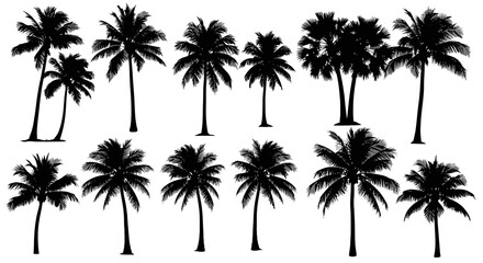 Black palm trees set isolated on white background. Palm silhouettes. Design of palm trees for posters, banners and promotional items. Vector illustration
