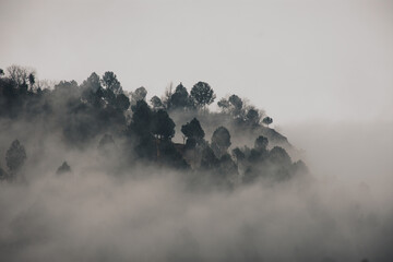 fog over the mountains