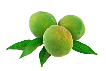 three peaches with leaves on a white background