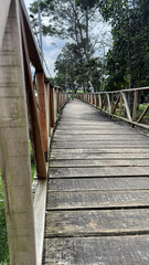 Obraz premium A rustic wooden boardwalk winds through lush greenery towards a distant mountain, flanked by trees and street lamps.