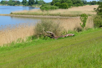 Elbe-085