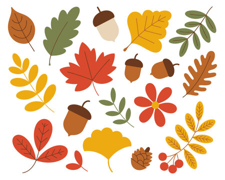 Autumn Leaves and Harvest Fruits Vector Set with Seasonal Elements for Fall Design, Thanksgiving Decorations, Nature Themes, and Seasonal Illustration Projects

