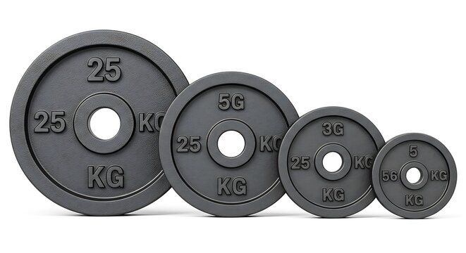 Four weight plates of different sizes arranged