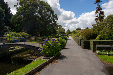 Serene Park with Bridge and Pathway