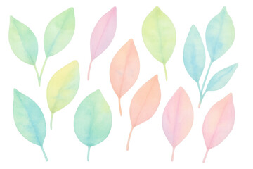 Fototapeta premium Pastel watercolor leaves creating soft, dreamy botanical effect with transparent background, ideal for delicate graphic design elements