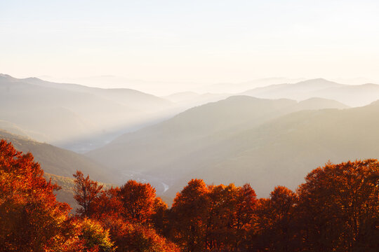 Sunset glow falls on vibrant autumn forest with misty mountains fading in the distance. Moody seasonal view with colorful trees and soft evening haze - Powered by Adobe