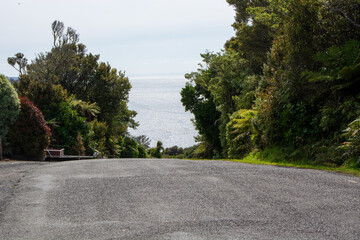 Scenic Road Leading to the Ocean