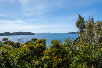 Serene Coastal View with Lush Greenery and Distant Islands