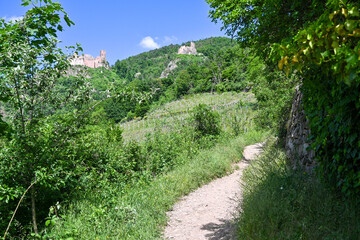Blick auf die Schlossruine  Grand Rappolstein Sain Ulric