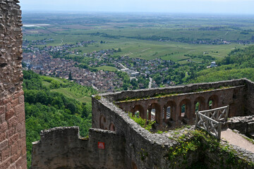 Aussicht von der Schlossruine  Grand Rappolstein Sain Ulric