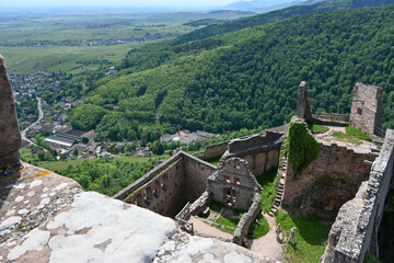 Schlossruine  Grand Rappolstein Sain Ulric