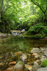 山梨県北杜市の塩川の渓流