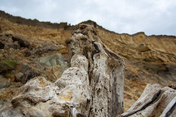 Weathered Driftwood Against Rugged Cliffs