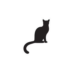 black cat on white background