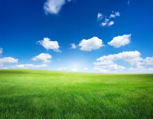 Fototapeta premium a bright fresh sunny spring summer blue sky background