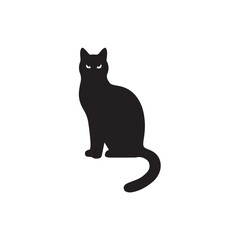 black cat on white background