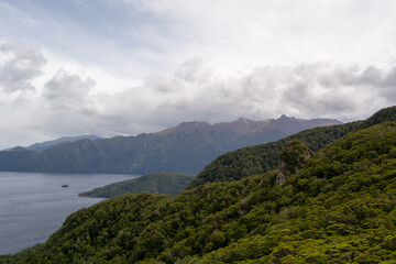 Lush Green Landscape with Mountains and Calm Water