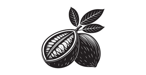 Detailed illustration of a cacao pod cut in half with leaves silhouette