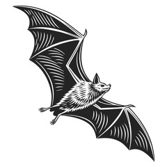 Bat in Flight: A Monochrome Illustration