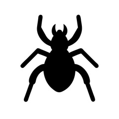 Spider: Intriguing Arachnids of Nature