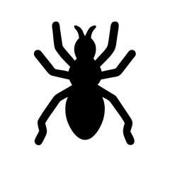 Spider: Intriguing Arachnids of Nature