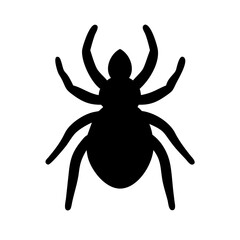Spider: Intriguing Arachnids of Nature