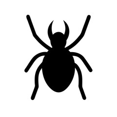 Spider: Intriguing Arachnids of Nature